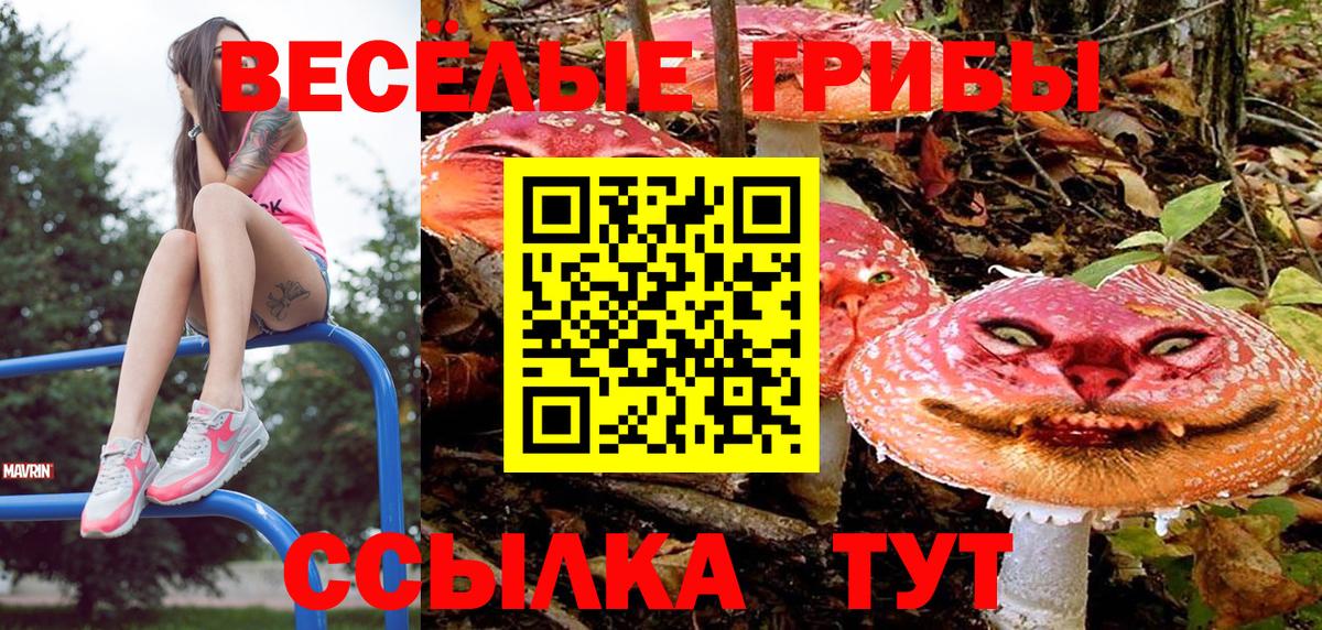 Галлюциногенные грибы Magic Shrooms Чехов