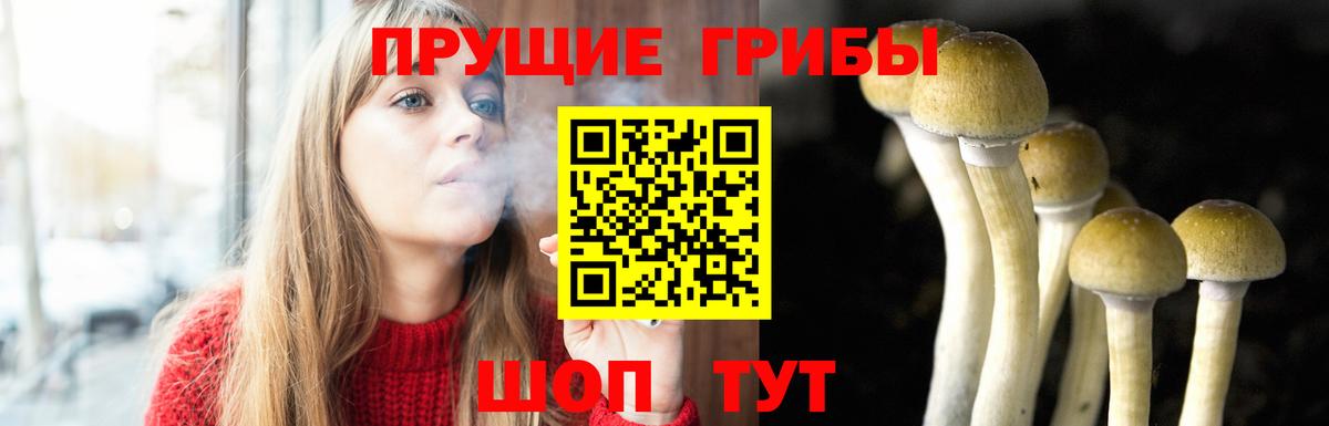 Чехов  Псилоцибиновые грибы Magic Shrooms  Псилоцибиновые грибы Psilocybe  Вход с VPN 